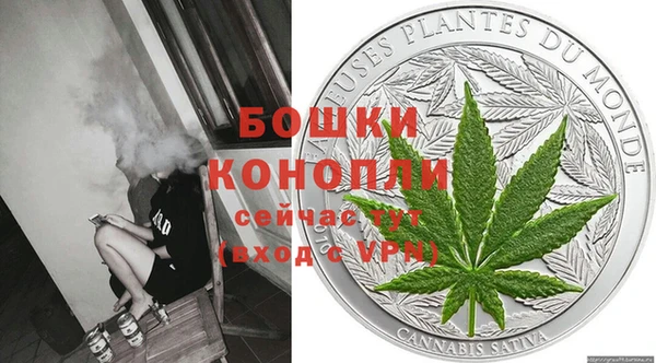 дурь Алексеевка