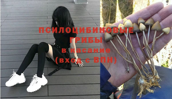 дурь Алексеевка