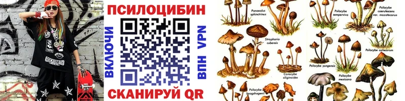 Псилоцибиновые грибы Cubensis что такое Судак